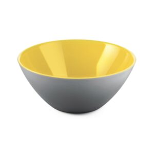 BOWL 25 MY FUSION