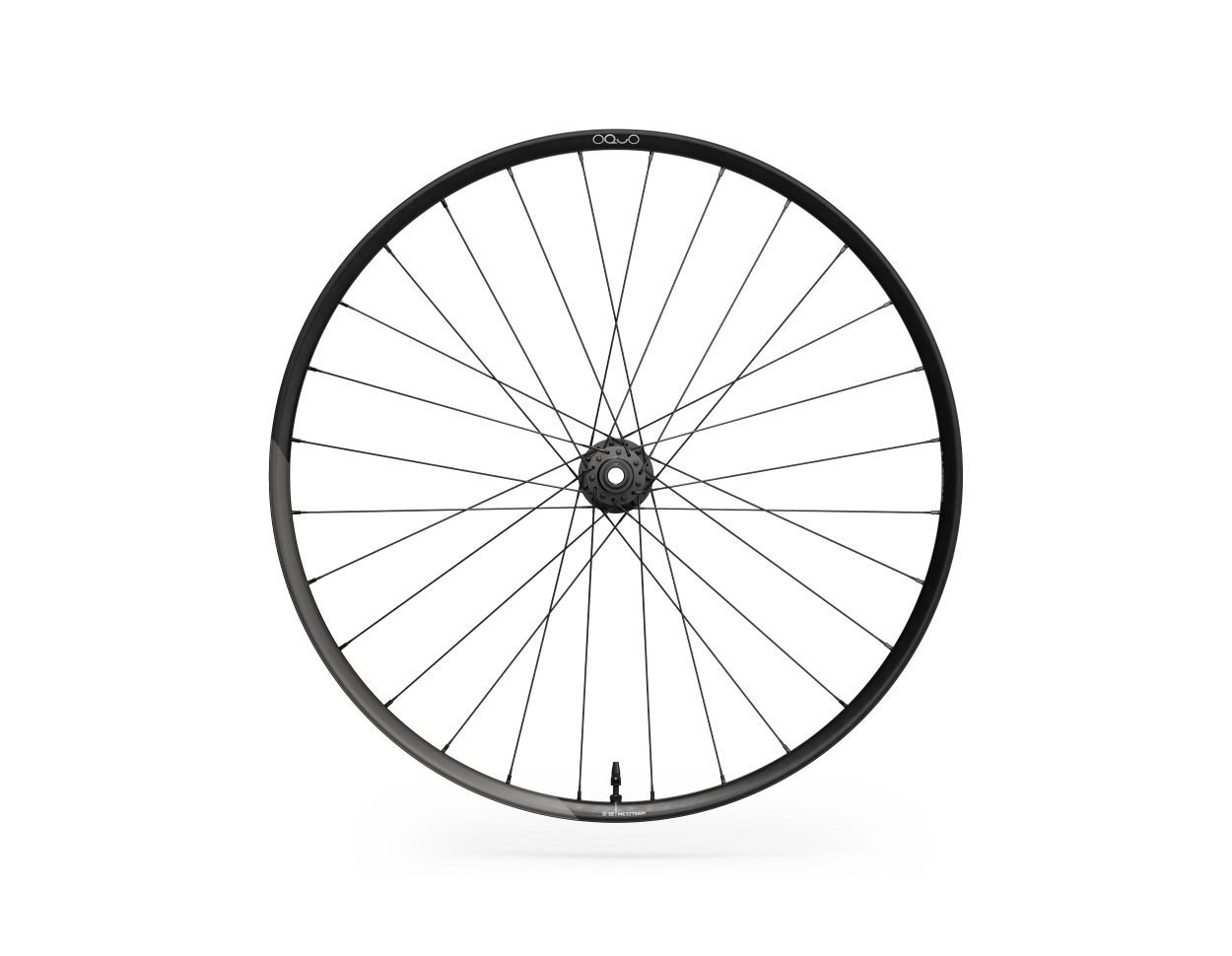 Koła Aluminiowe MTB E-bike OQUO MC32TEAM PRO - Tylne - Sram XD - 29 cali